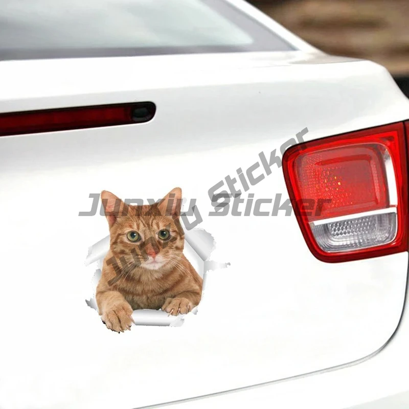 

For Torn Cat Car Stickers Car Refrigerators Decal Funny Camper Graffiti Waterproof Sunscreen Decals Decor
