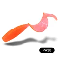 PA30