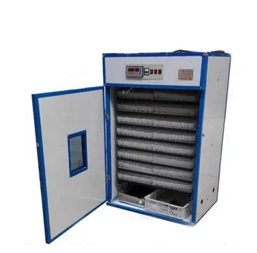 

best selling used egg incubators/xxx indonesia chicken egg incubator