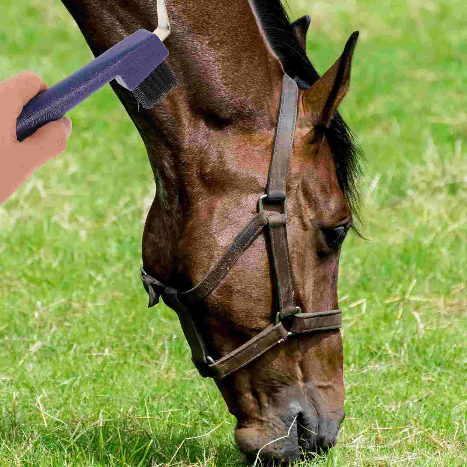 Horse Hoof Care Tools Portable Pick Cleaning Supple Grip Picks for Grooming Horseshoe with Brush