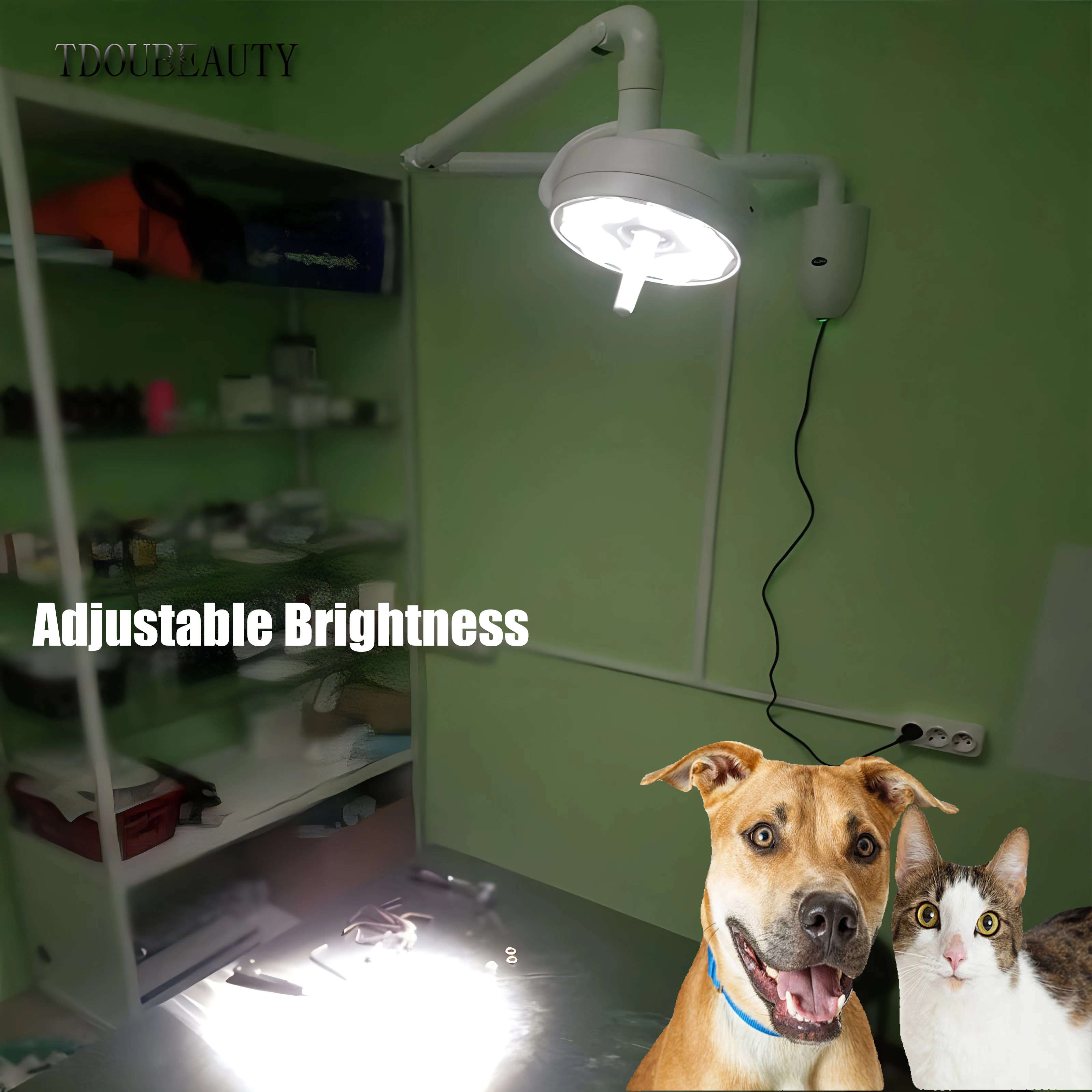 TDOUBEAUTY 30W Wall Dental Lighting Oral Implant Surgery Shadowless Lamp Animal Disposal Room Hand Shadowless Light (90V-240V)