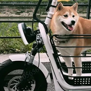 Dual Motor Electric Scooter 48V 1000W 20Ah 3 Seater Pet & Cargo Carrier