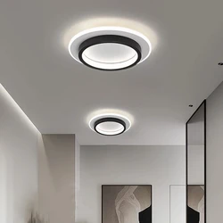Modern Simple LED Decor Ceiling Light Nordic Luxury Indoor Ceiling Lamp Living Room Aisle Bedroom Creative Metal Ceiling Light