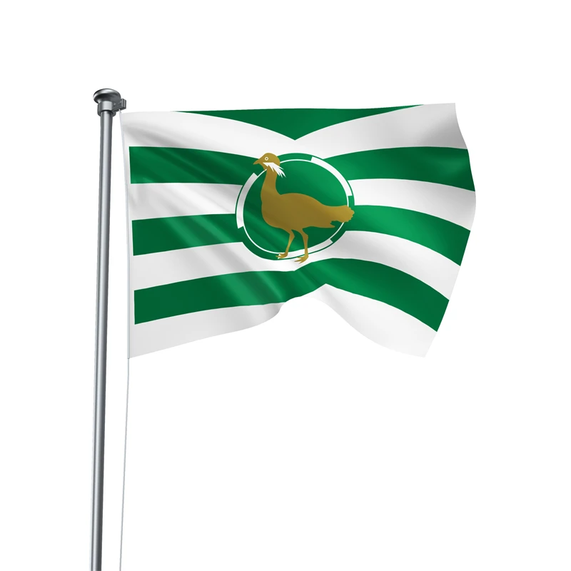 Gaslight Gatekeep Girlboss 5' x 3' Wiltshire England Flag Banner Polyester with Brass Grommets 150cm x 90cm