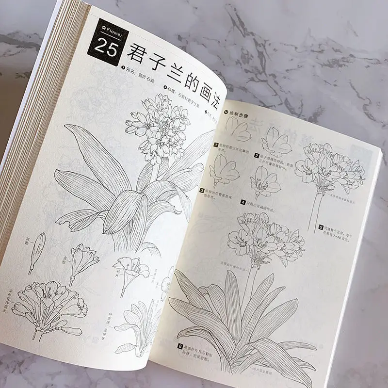 Seventy Flowers Pencil Line Drawing Technique Flowers Drawing Tutorial Book Sketch Copy Album Coloring Book