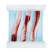 Three-Vessel Vascular Model: Healthy Artery and LDL-Induced Blockage Simulation
