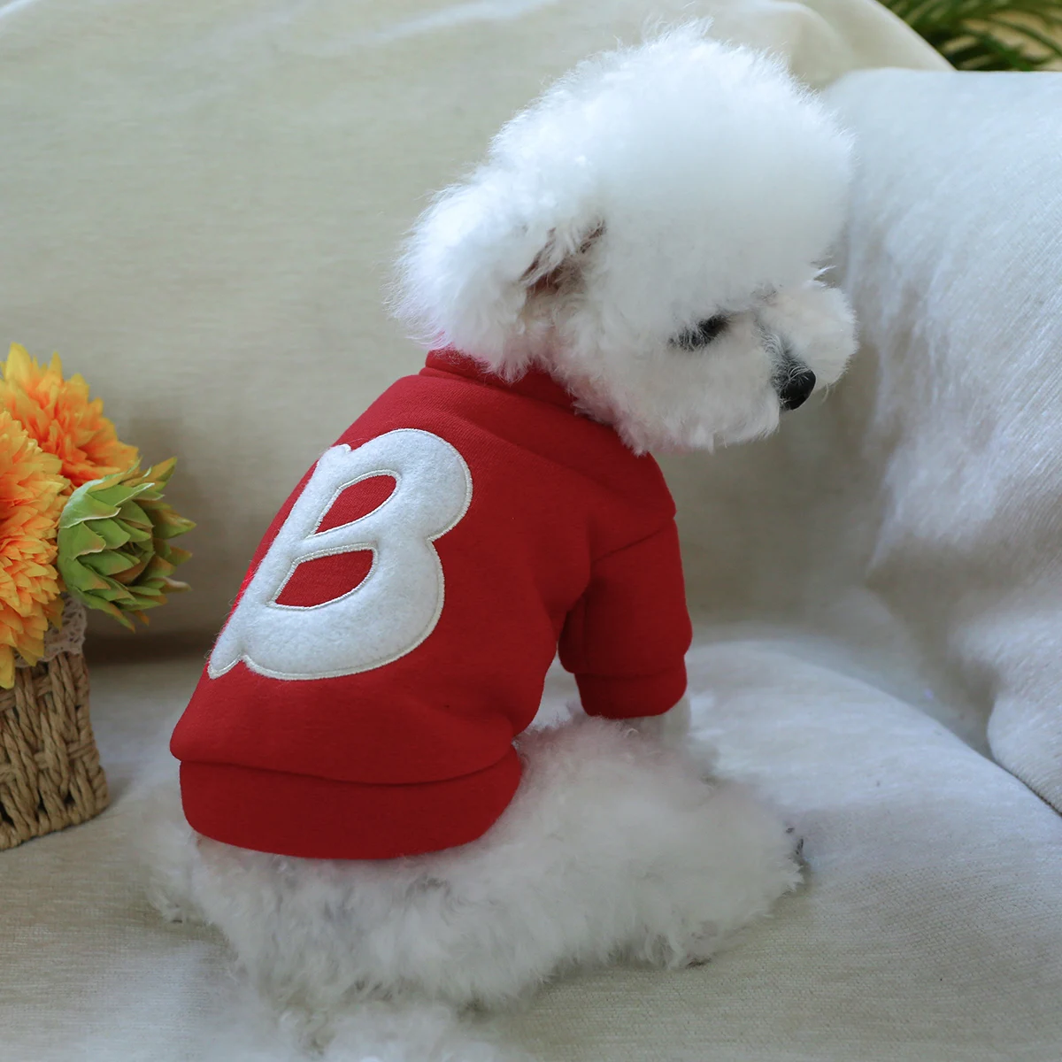 1PC pet clothing cat spring and autumn plush thickened red letter B jacket suitable for small and medium-sized dogs