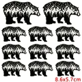 PE13739CT