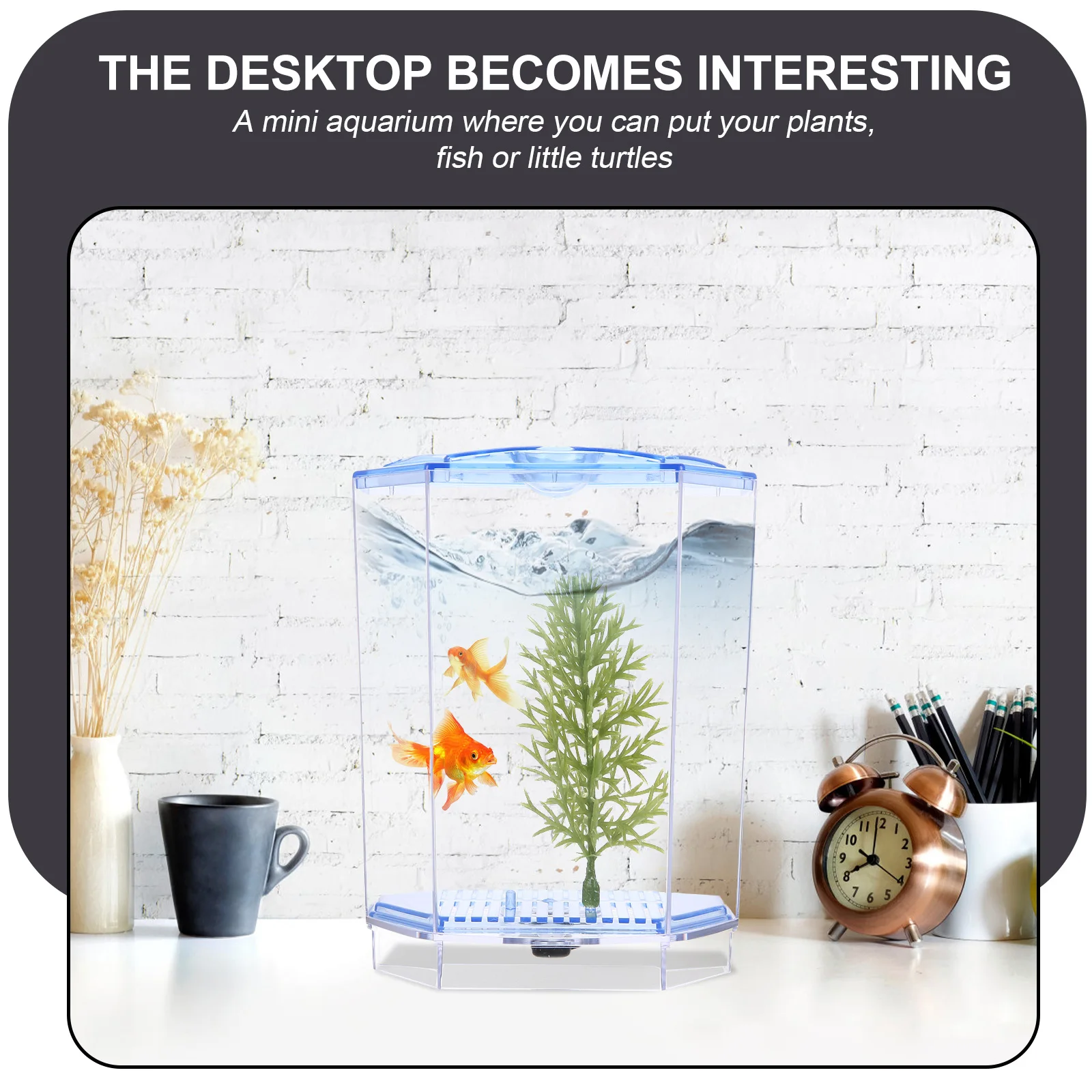 

Mini Aquarium Home Feeding Accessories Desktop Small Clear Breeding Transparent Office Decor Fish Incubation Tank For Goldfish