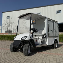 High Quality Club Car 2 Seats Electric Golf Buggy 5000w Motor Off Road Golf Cart with Storage Box 48V Electric Golf Carts