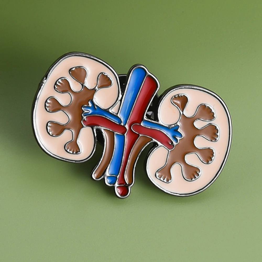 Catuni Kidney Organ Anatomy Enamel Pin Brooch Biology Medical Lapel Lanyard Badge Jewelry Gifts for Student Anatomist Doctor Man