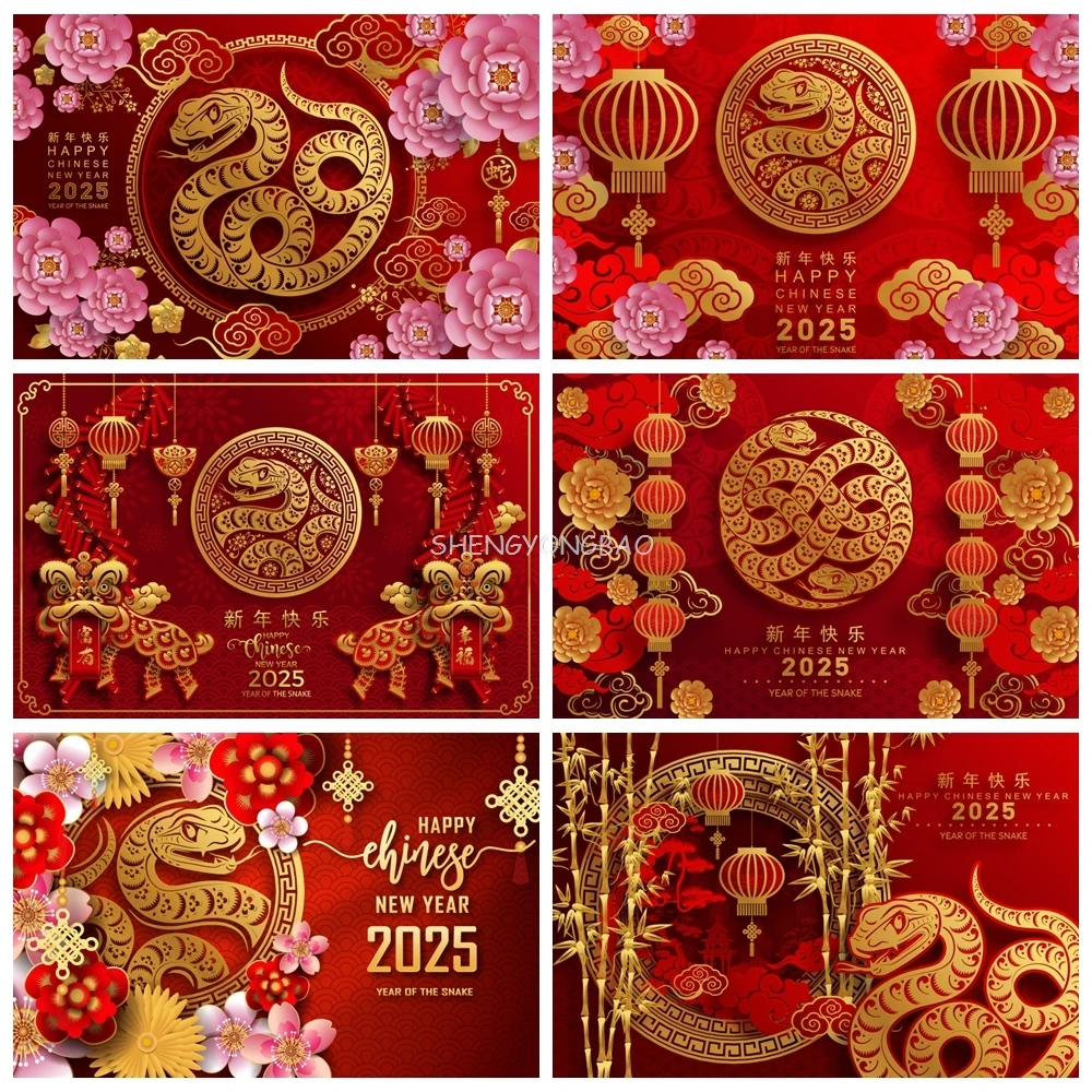 

2025 Happy New Year Backdrop Chinese Year of the Snake Red Lantern New Year Eve Family Party Photography Background Photo Studio