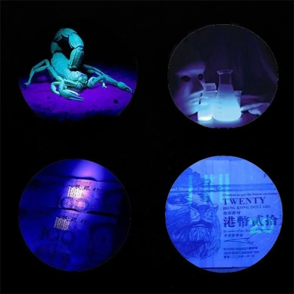 Violet Device Tube Bulb Handheld Blacklight 6V Light 2in1 Ultraviolet Lamp Portable Money Detector UV