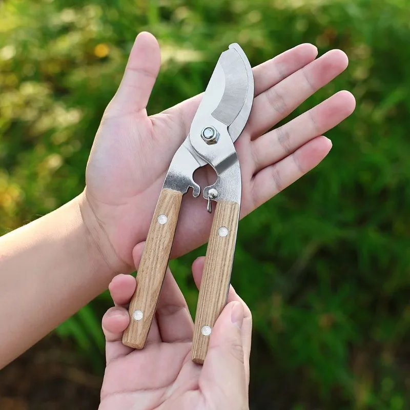 

Садовые ножницы Обрезка трудосберегающих ветвей Фруктовые ветки Садовые цветы Специализированный дизайн предохранительного замка