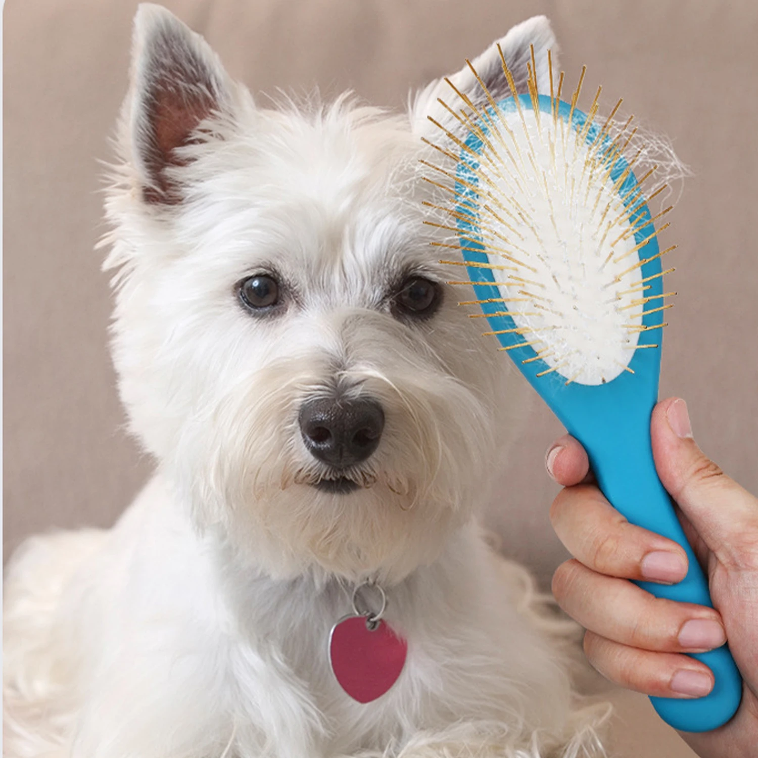 spazzola-per-cani-con-perno-districante-per-toelettatura-animali-domestici-pettine-per-cani-per-perdere-e-rimuovere-la-pelliccia-sciolta-legno-con-perni-placcati-in-oro-per-animali-domestici-a-pelo-lungo