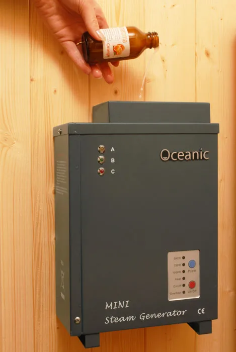 Hot Sale Fragrance Aroma Mini Steam Generator 1KW for Sauna Room
