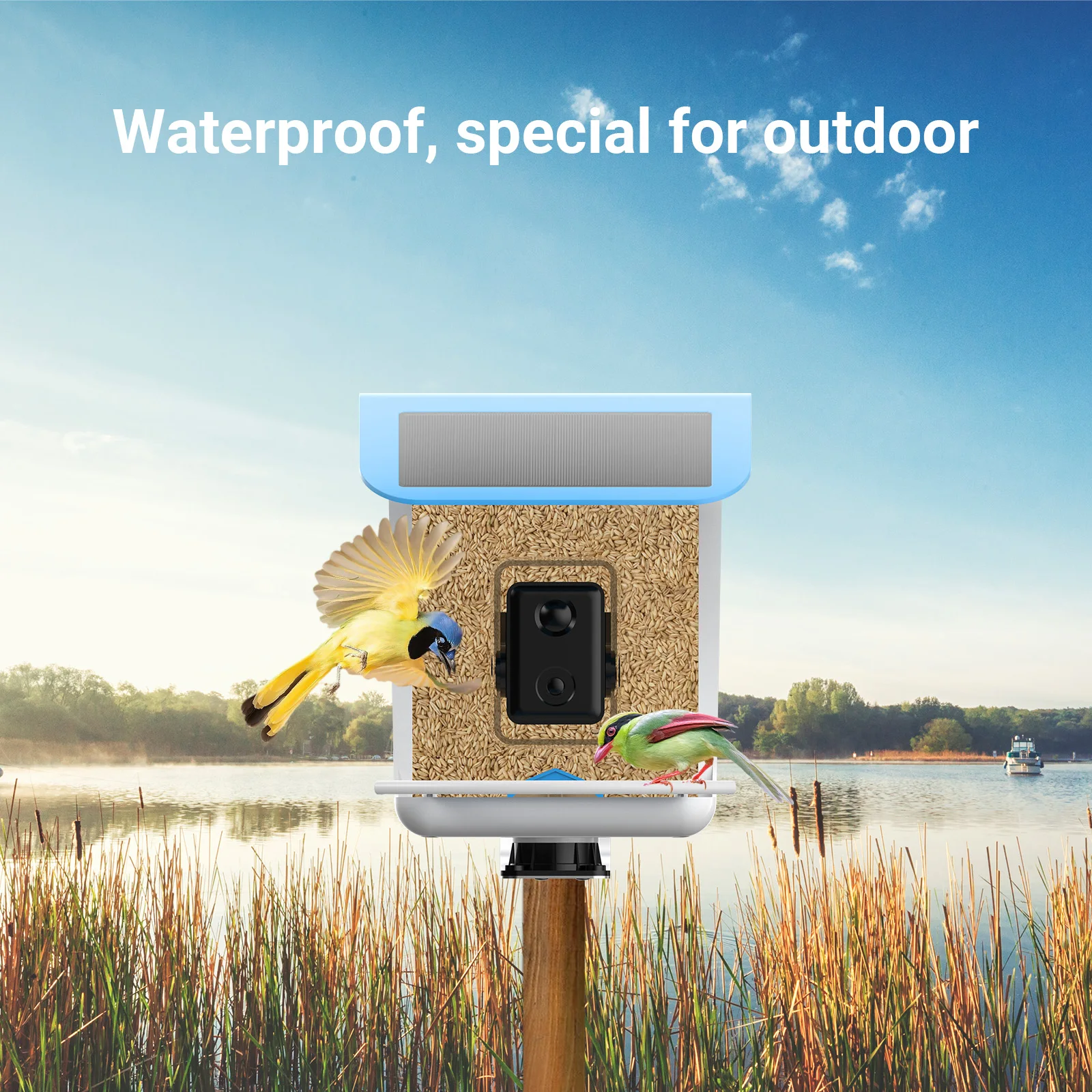 Bird Feeder Mini Camera House Monitor Wireless WiFi Cam 1080P Outdoor Watching Aves Camcorder Video Recorder Safety Surveillance image 6