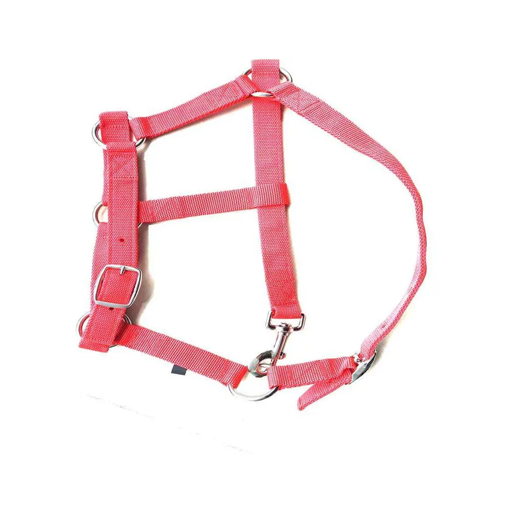 Customized Designed Equestrian Horse Racing Bridle Nylon Halters Bridle Style Equipment Custom Packaging Drop