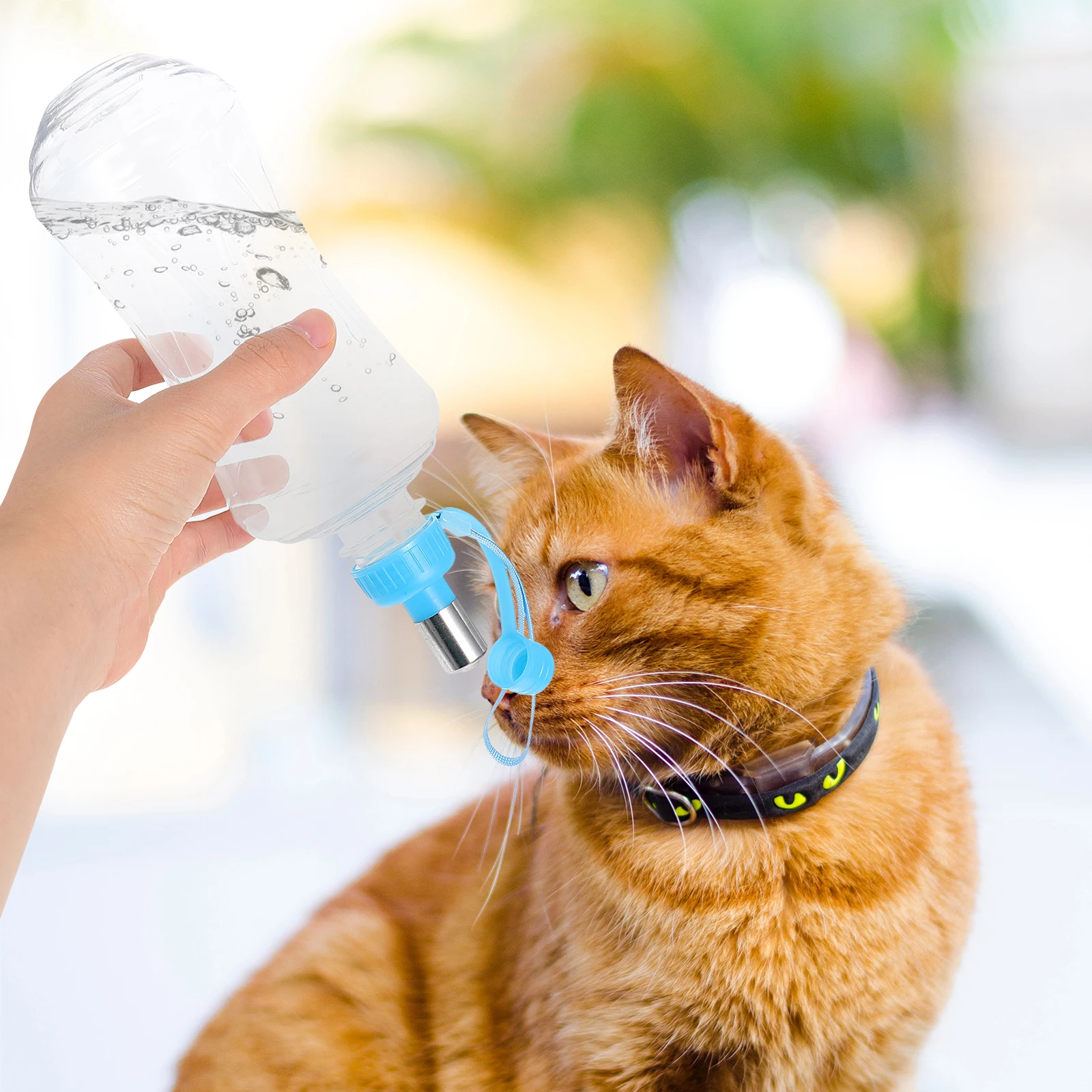 2 pezzi bottiglia d'acqua per animali domestici per cane gatto coniglio piccolo animale portatile a prova di perdite uso da viaggio all'aperto contenitore per bere durevole per