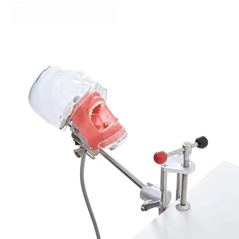 High quality dental model simulation practice simulator