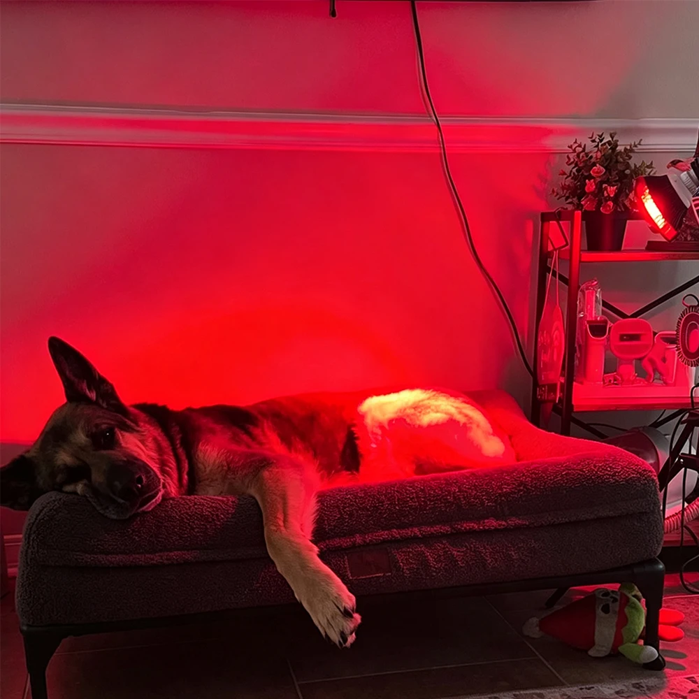 อุปกรณ์บำบัดด้วยแสงสีแดงและอิน - Red Light Therapy Panel 660 850 บทวิจารณ์และราคา