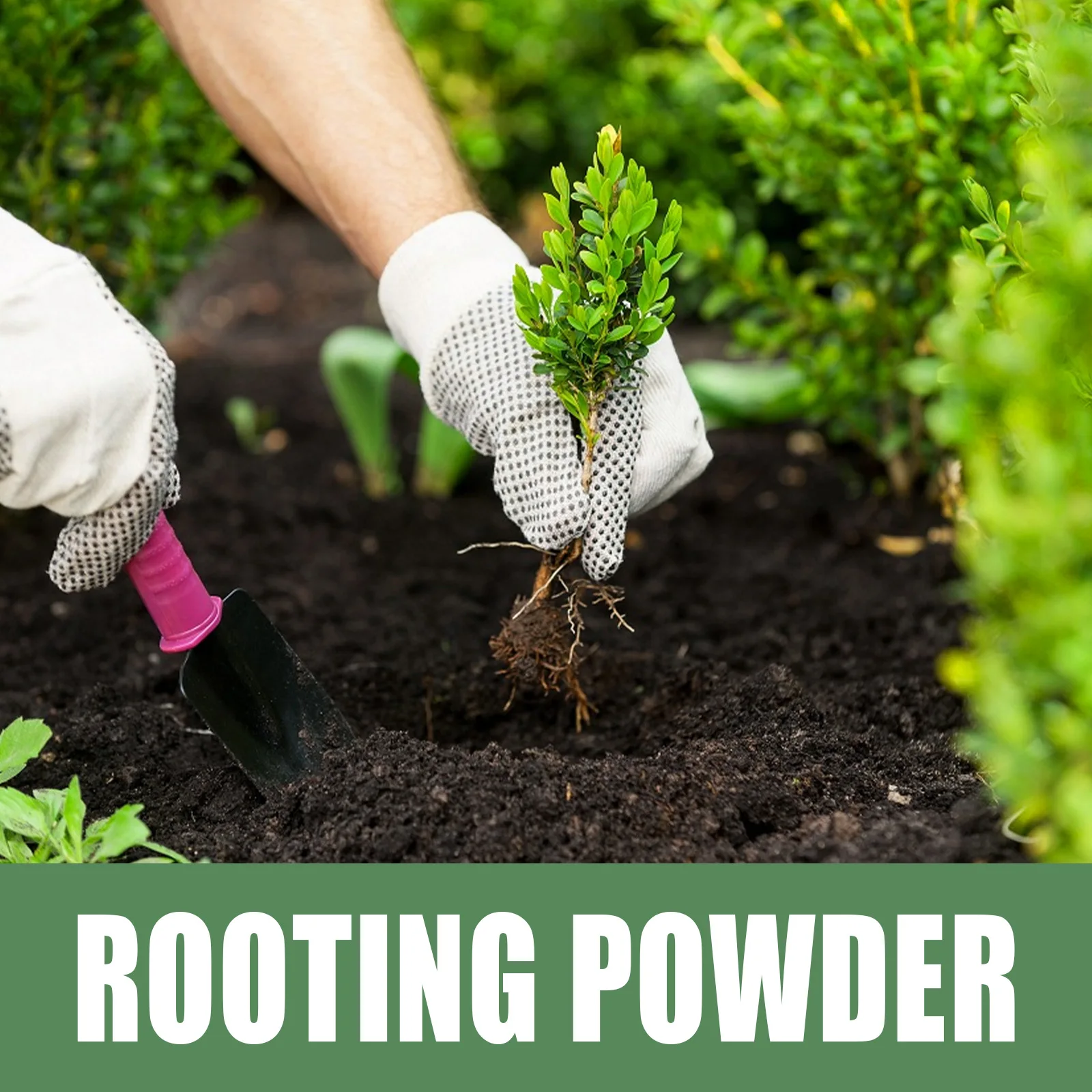 Rare Plant Rooting Powder Plant Fruit Flower Rapid Rooting Nutrition Hydroponics Garden Nutrition Plant Growth Rooting Powder