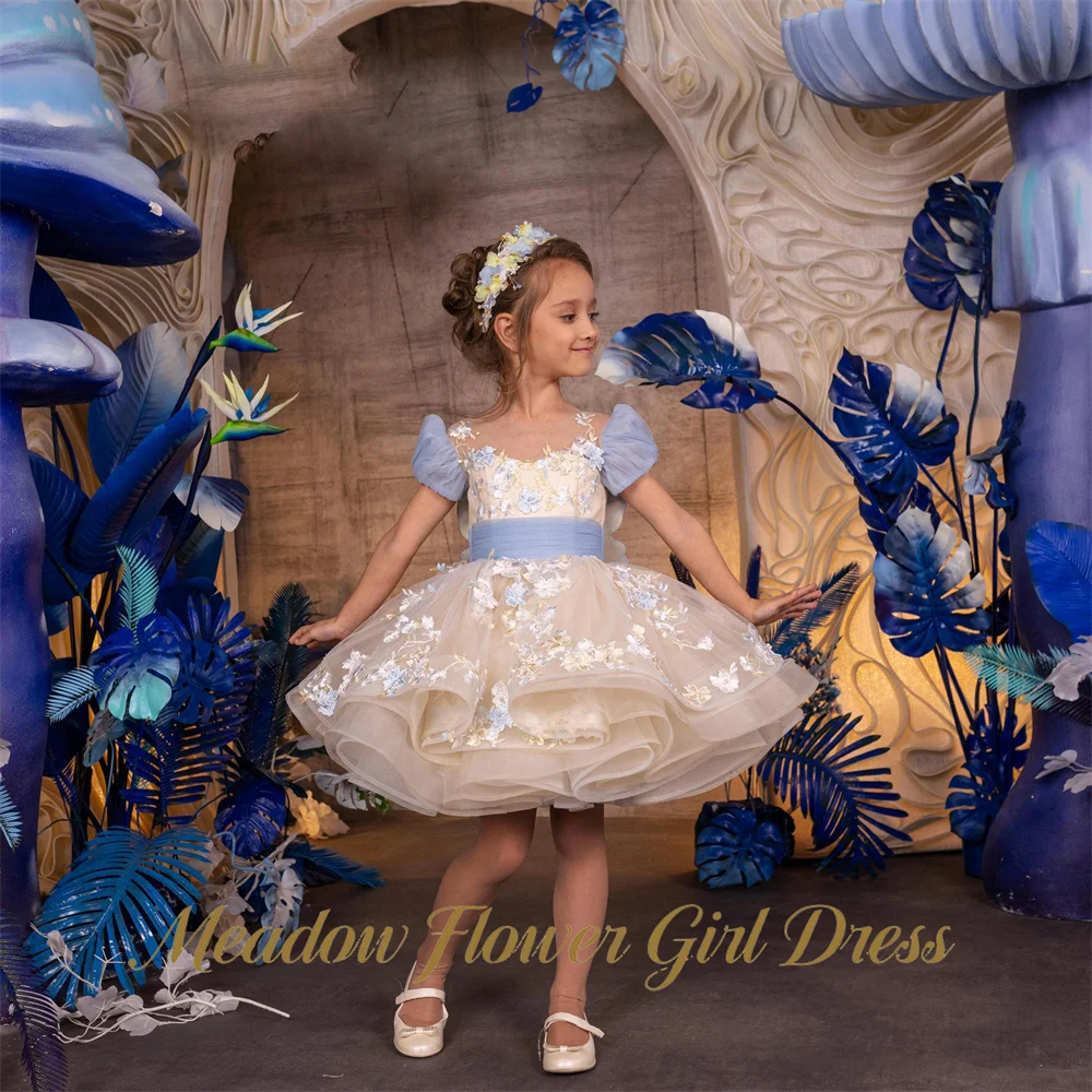 Meadow Champagne First Communion Gown Round Neck Short Sleeve Girls Princess Dress 3D Floral Evening Party Dress for Girls