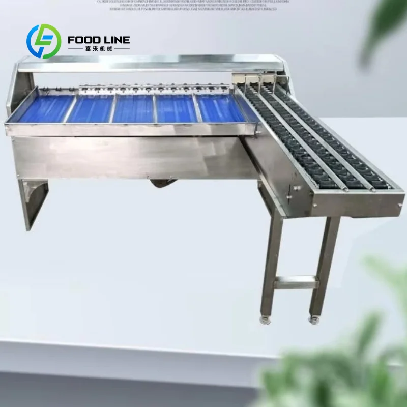 5000 Pcs/H High Efficiency Motor Egg Sorting Machine, Automatic Size Weight Grader for Small Scale Chicken Eggs Customized