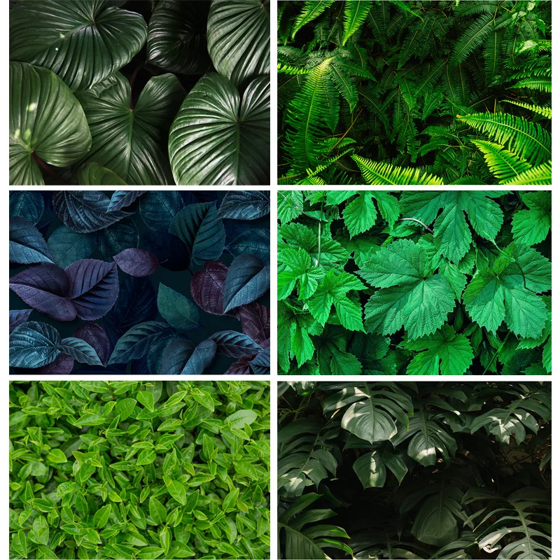 

SHUOZHIKE Tropical Jung Leaves Nature Scenery Photography Background Landscape Photo Backdrops Studio Props 21728 RDY-01