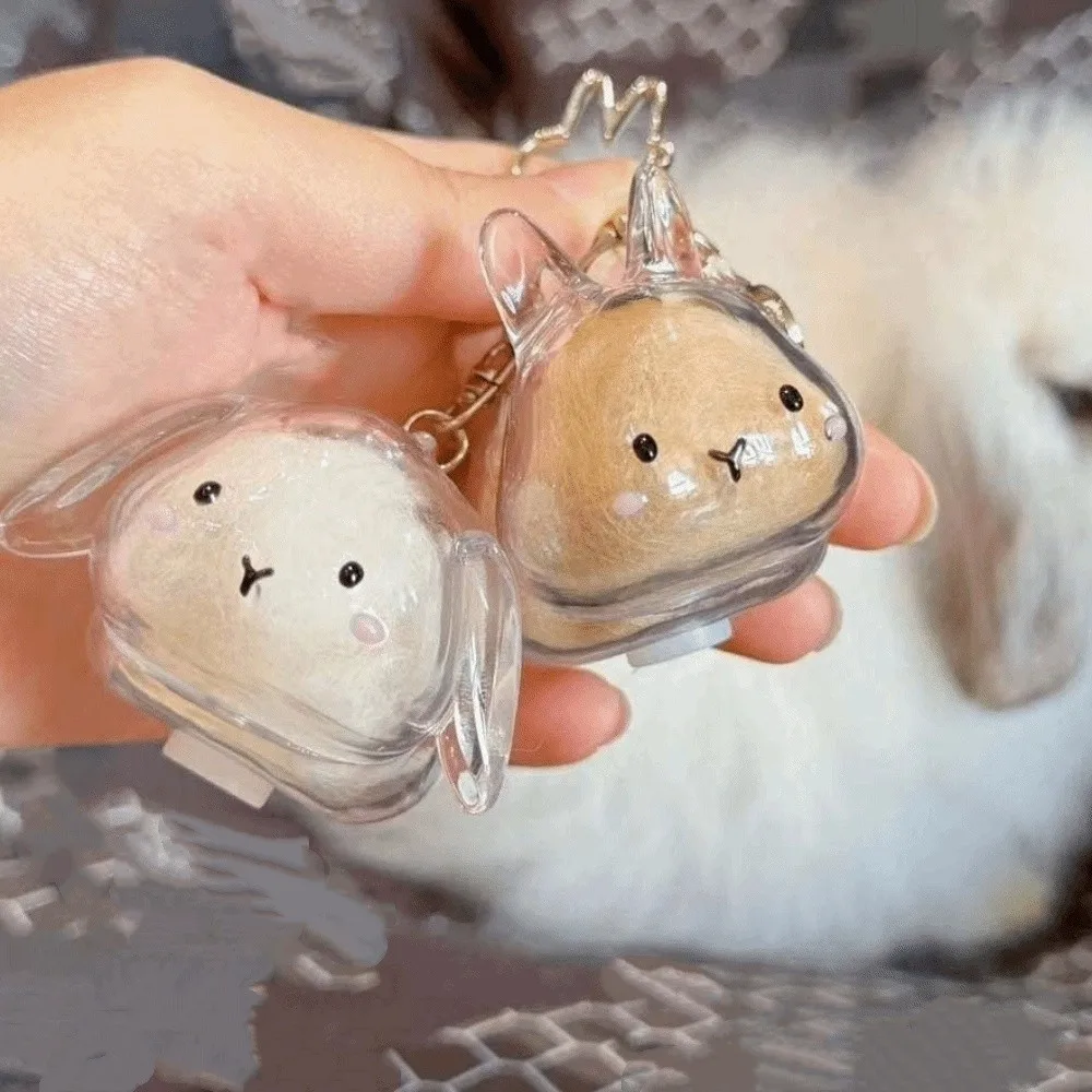 Transparent Acrylic Keychain Cat Hair Storage Capsule Animal Shaped Handmade Rabbit Hair Storage Box Cute Portable