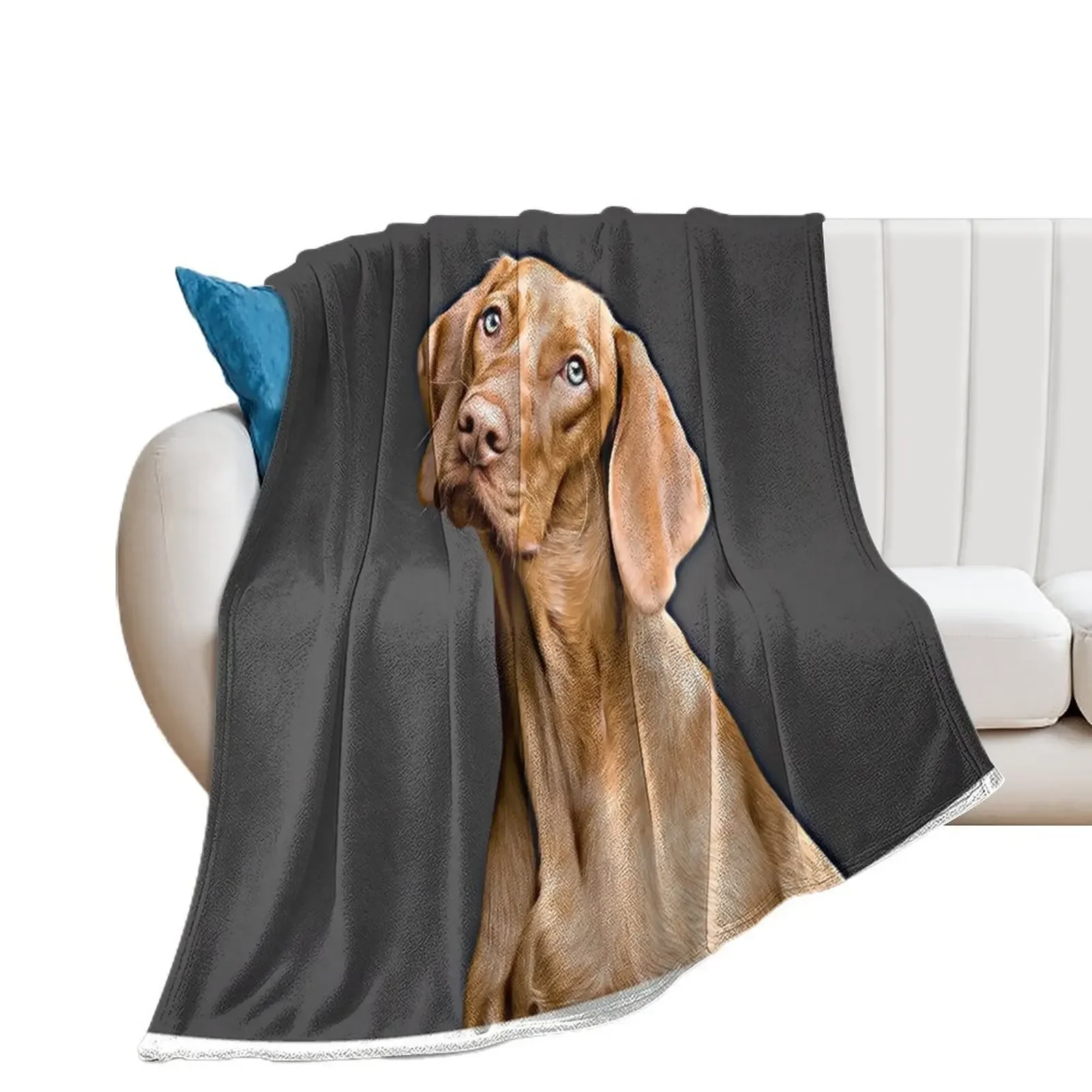 

Vizsla Strikes A Pose Throw Blanket For Decorative Sofa Moving Summer Beddings Warm Blankets