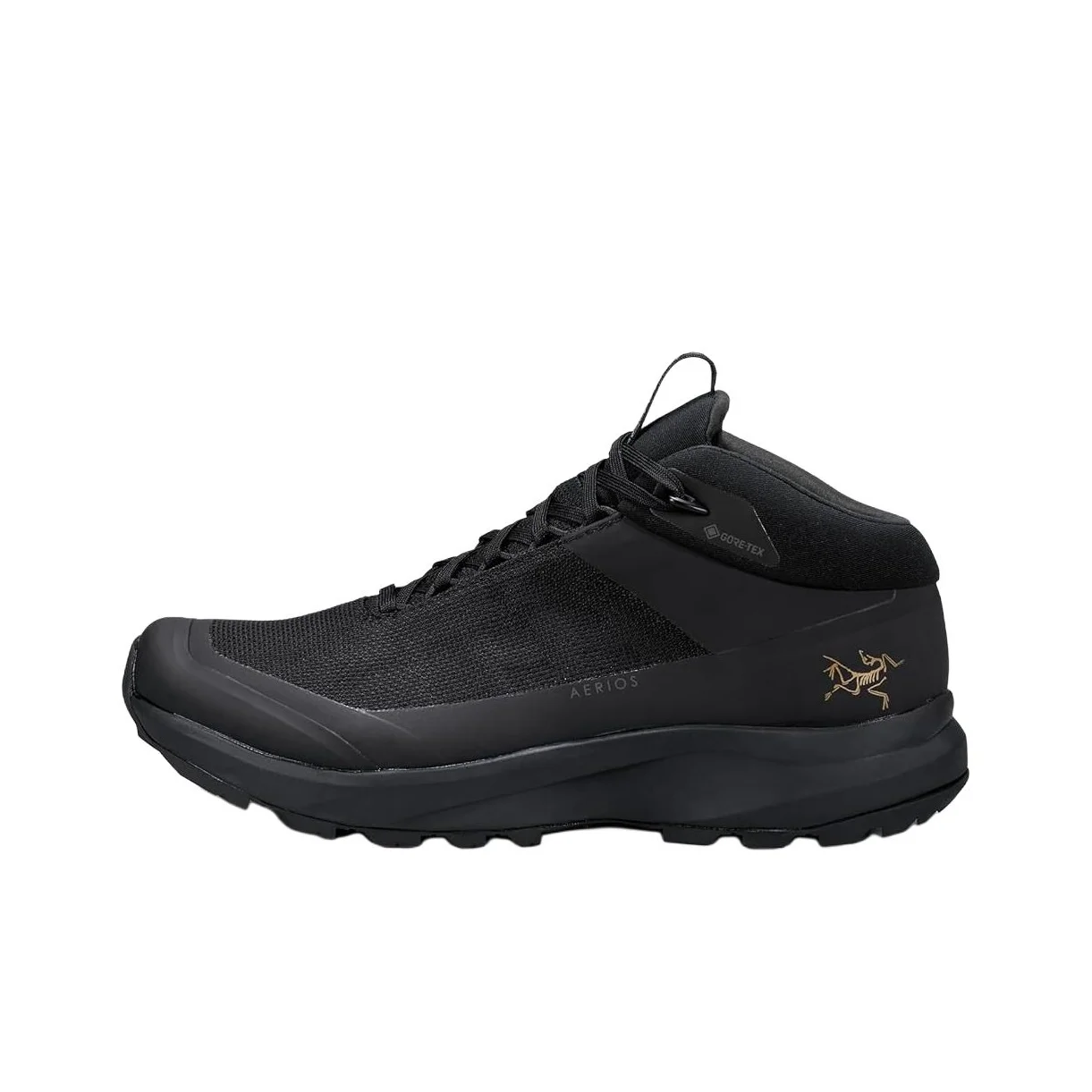 Arcteryx AERIOS FL 2 Mountaineering & Hiking Shoes X000006337-BLACK/BLACK