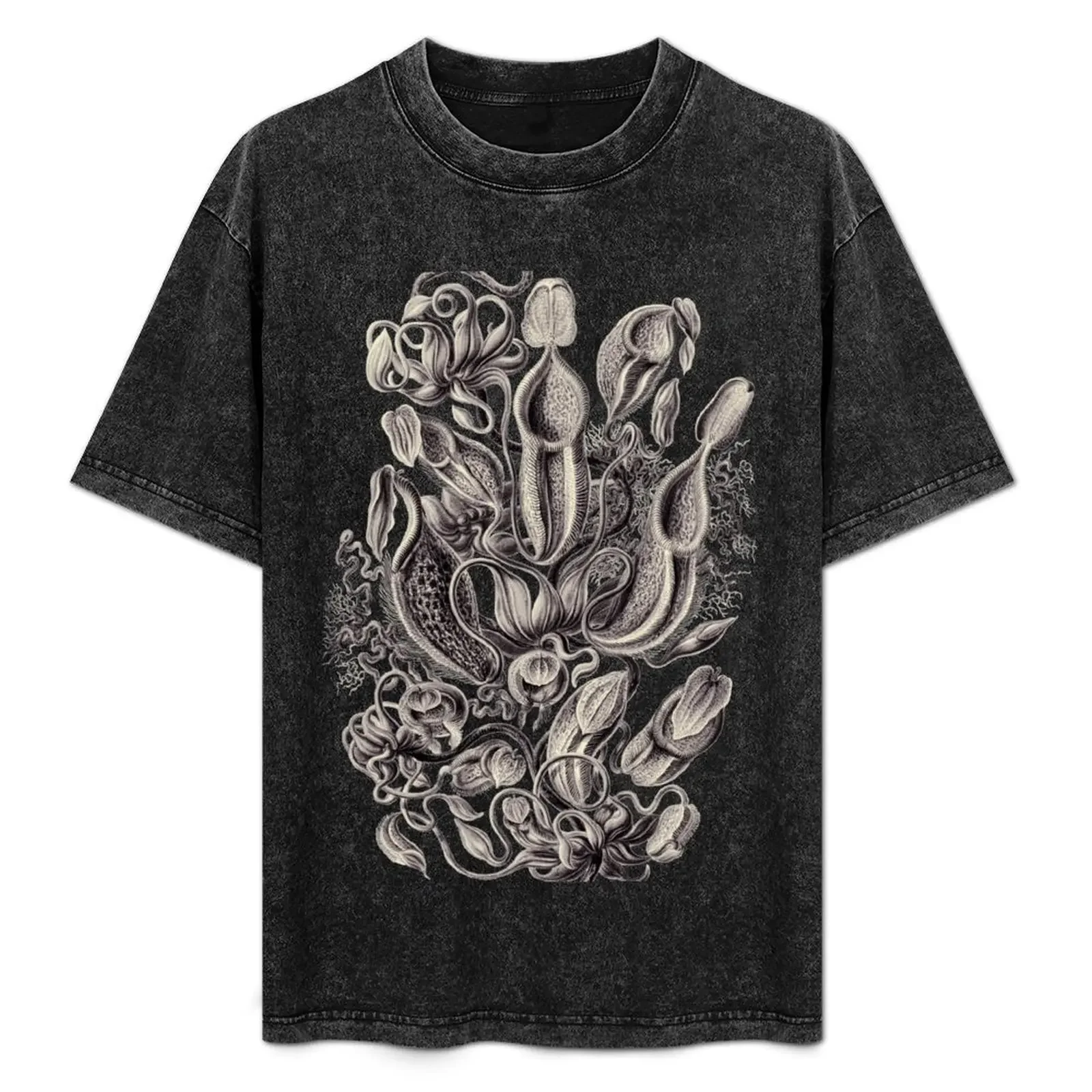 Ernst Haeckel Nepenthaceae Pitcher Plant Aubergine T-Shirt shirts graphic tee Aesthetic clothing slim fit t  for men