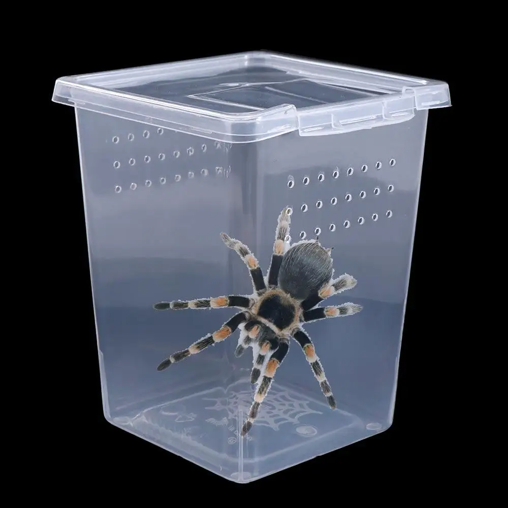 Accessories For Sco…