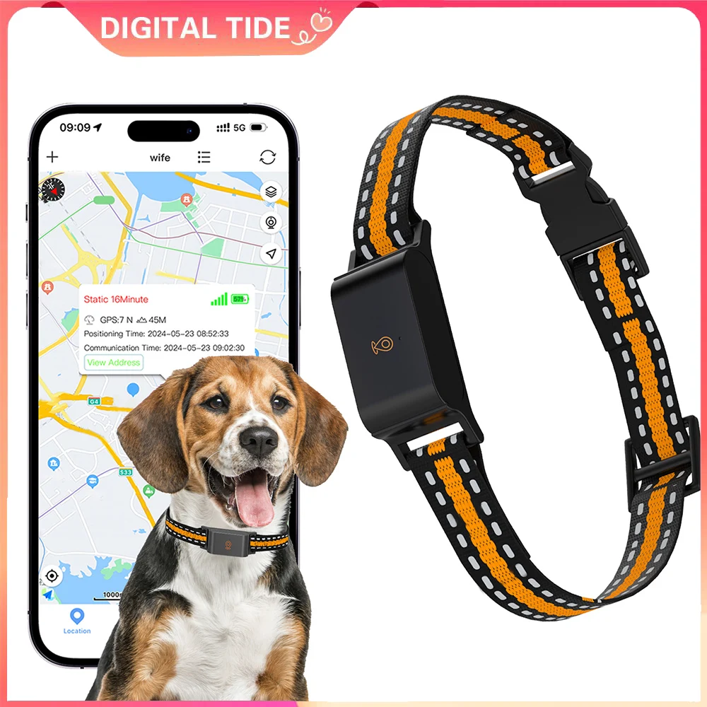 

4G GPS ошейник для отслеживания домашних собак, приложение для отслеживания в реальном времени, электронный забор, анти-потерянный локатор для собак