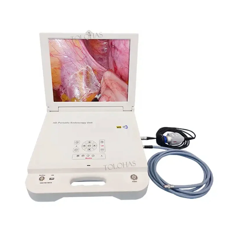 

LHGW612 Portable with Led Light ENT CCD Medical Endoscope Portable Endoscope