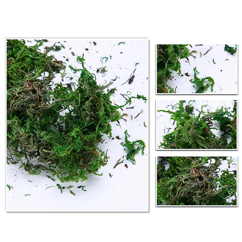 

Artificial Moss Simulated Green Plant High Quality Decoration for Miniature Ornament Natural Lawn Base Garden Wedding