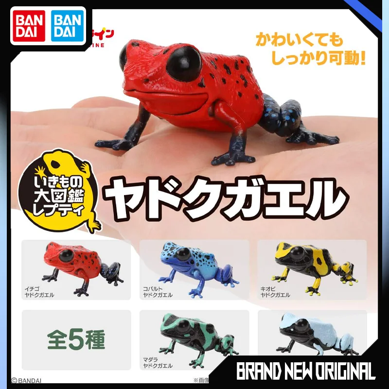 

Bandai Action Figure Model Biological Red Tropical Rainforest Frog Model Simulated Animal Gashapon Ball Ornament Fast Delivery