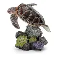 Sea Turtle