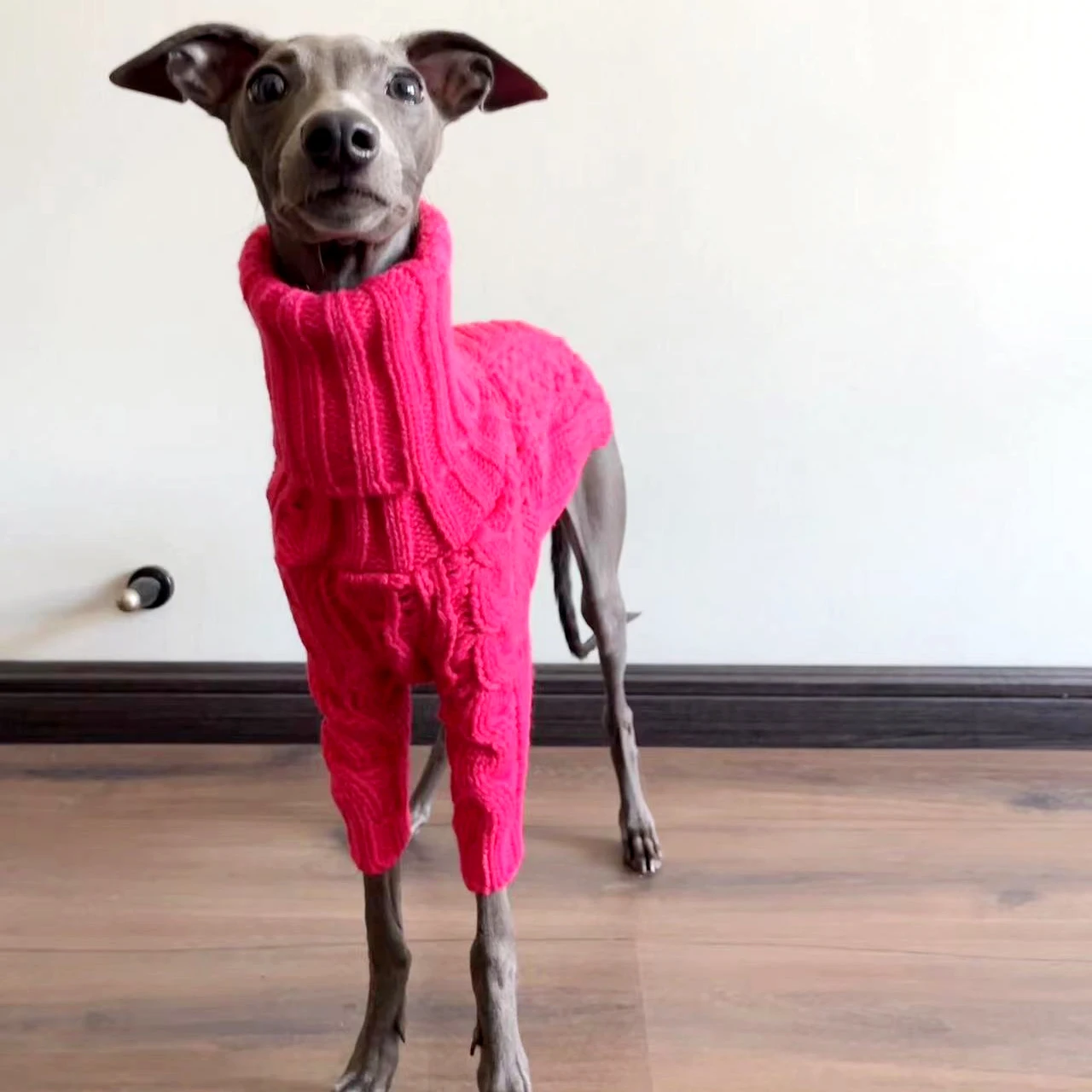 pink Fashionable Turtleneck Winter Dog Sweater Thick Warm Pet Sweater Handmade Wool Knitted Italian Greyhound Whippet Beagle