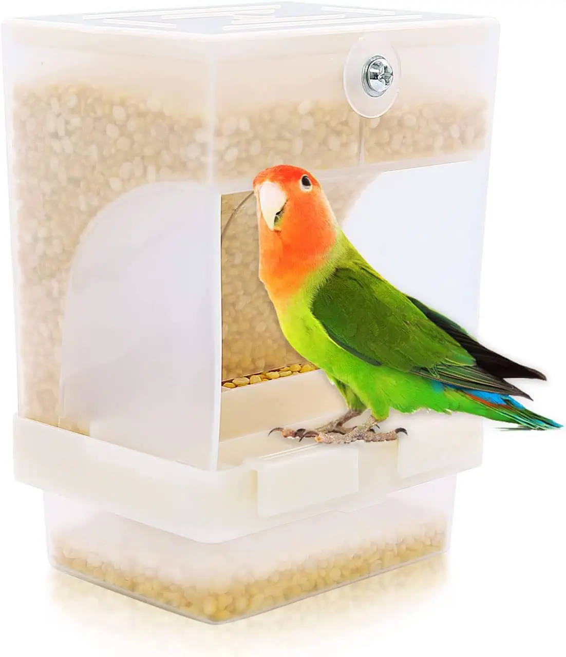 Non Dirty and Messy Bird Feeder - Parrot Integrated Automatic Feeder Suitable for Small and Medium-sized Birds