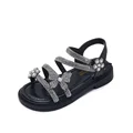 Y88111Black
