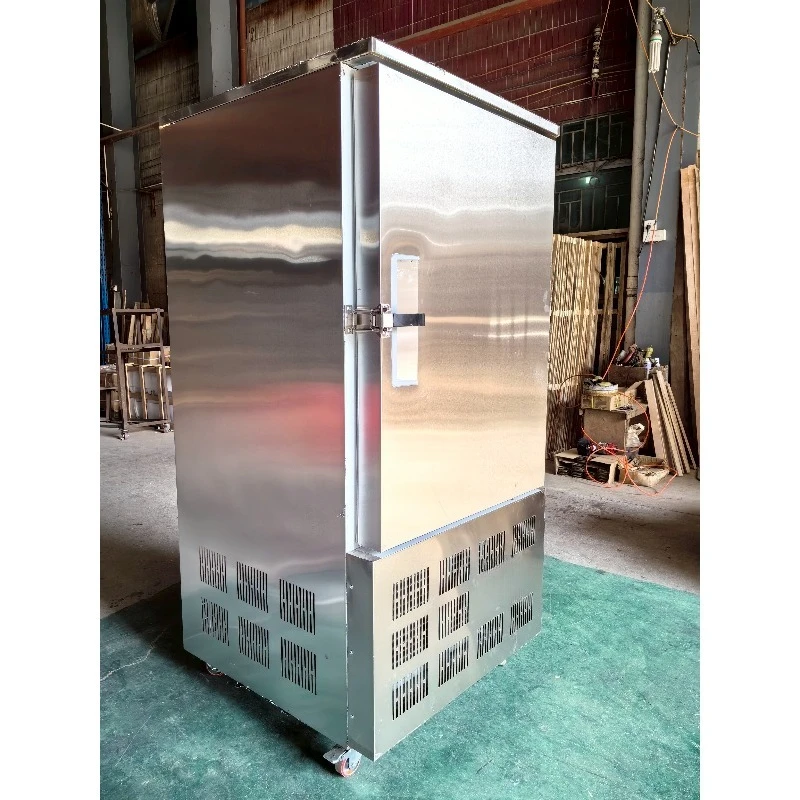 Picture 3: 10 12 15 30 Trays Quick Freezer Automatic Freezer for Vacuum Quick