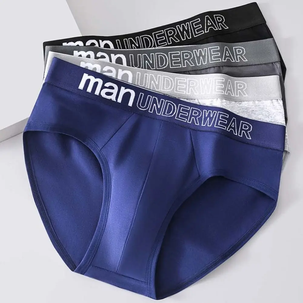 5PCS Breathable Low Waist Men Thin Panties Briefs Elastic Men's Underwear Male Lingerie Letter Underpants Gifts