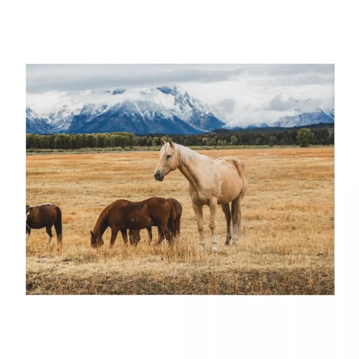 

Mountain Horse - Palomino Horse on Autumn Day in Grand Teton National Park Throw Blanket Travel Summer funny gift Blankets