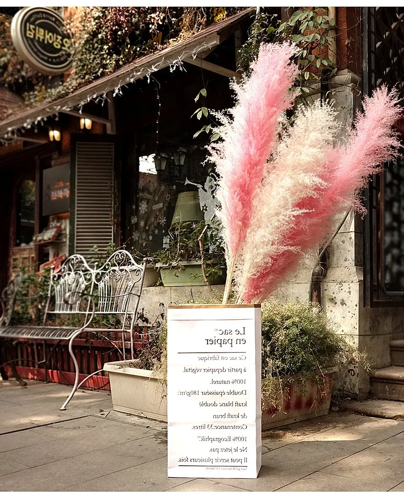 120cm Tall Natural Dried Pampas Grass: Infuse Bohemian Spirit into Your Wedding, Home Garden & DIY Bouquet Gifts