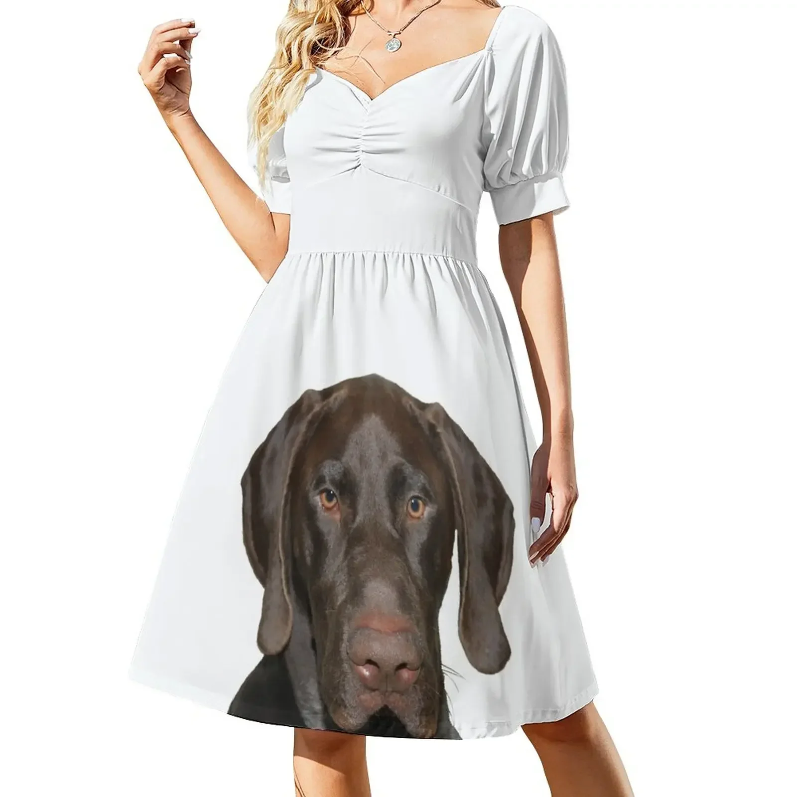 

Glossy Grizzly German Shorthaired Pointer Short-Sleeved Dress fairy dress dress women elegant luxury dresses summer