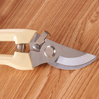 Multifunctional Stainless Steel Fruit Picking Shears Tree Pruning Shears Flower Grafting Gardening Scissors