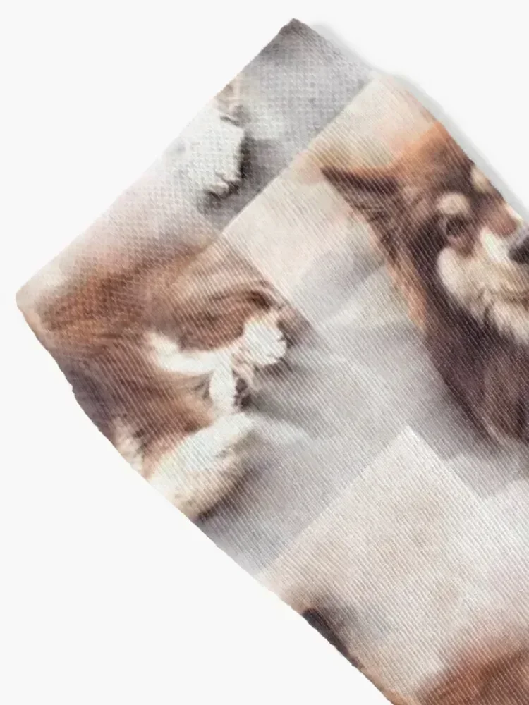 Finns from Lapland Socks Heating sock Wholesale shoes kids Men Socks Women's