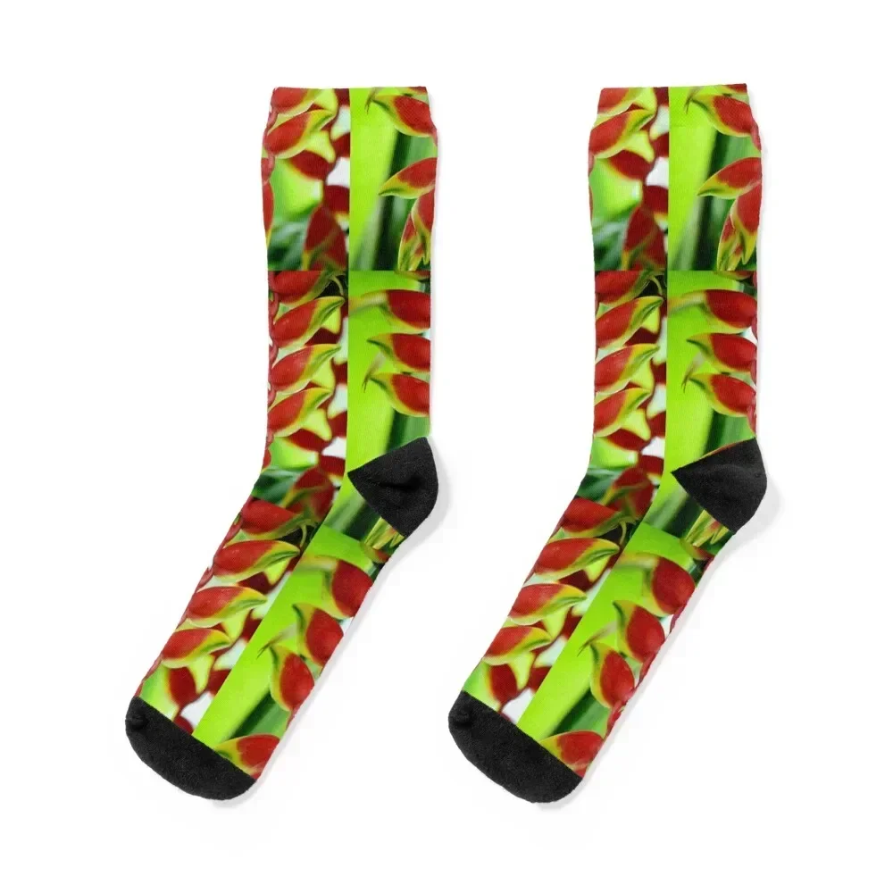 

Heliconia Rostrata - Hanging Lobster Claw Socks christmass gift basketball christmas gifts Boy Child Socks Women's